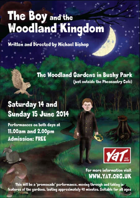 The Boy and the Woodland Kingdom